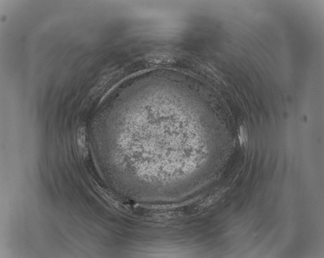 X0000073891396200609011641