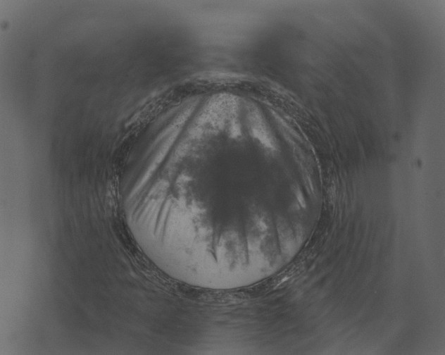 X0000073891397200609011641