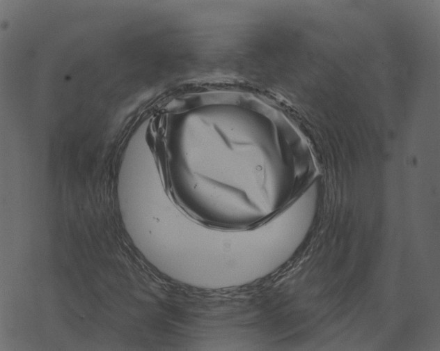 X0000073891398200609011641