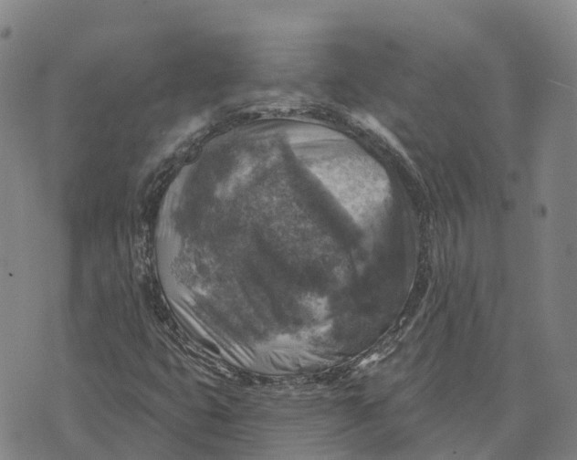 X0000073891399200609011641