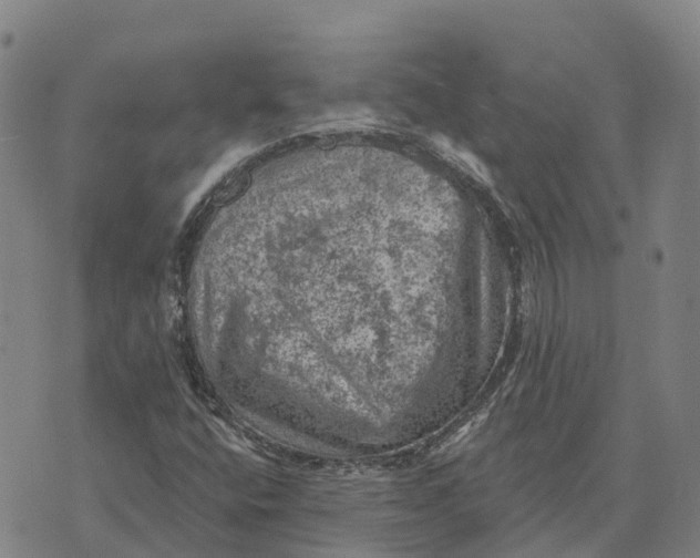 X0000073891400200609011641