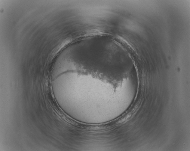 X0000073891401200609011641