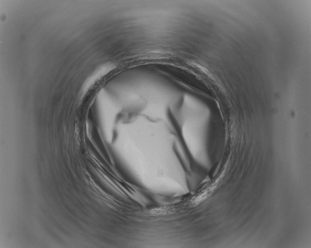 X0000073891402200609011641