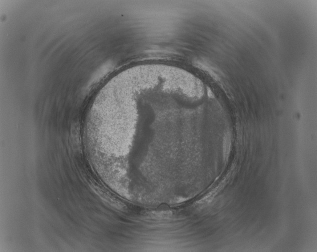 X0000073891403200609011641