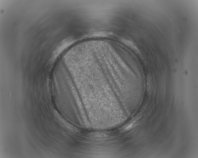 X0000073891404200609011641