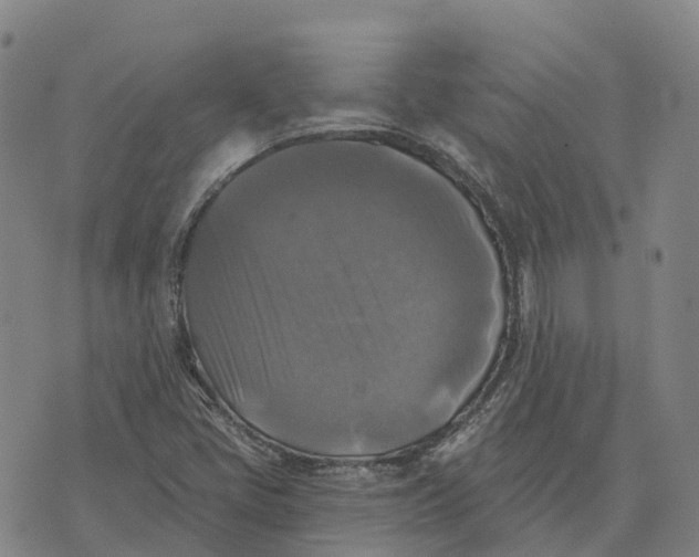 X0000073891405200609011641