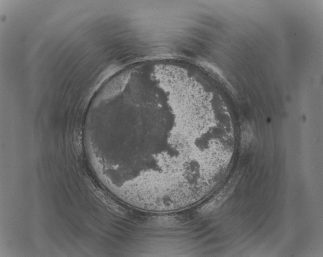 X0000073891409200609011642