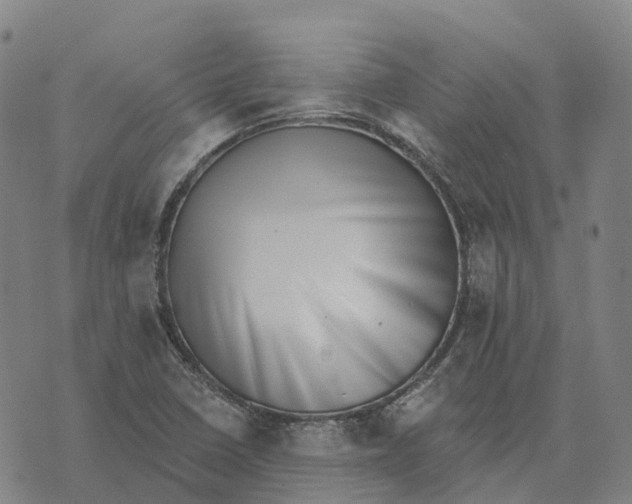 X0000073891410200609011642