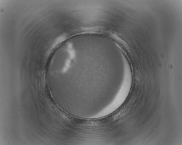 X0000073891411200609011642