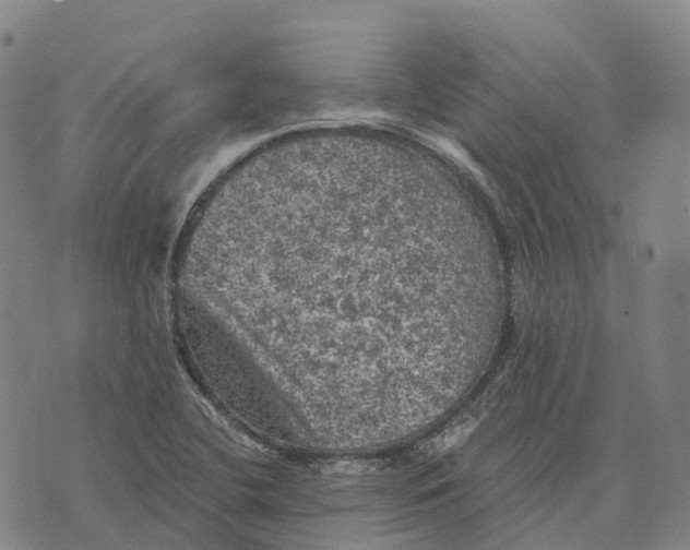 X0000073891412200609011642