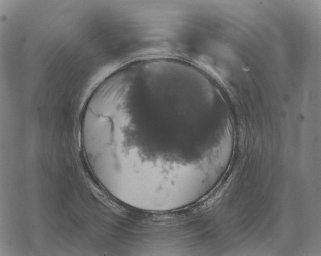 X0000073891413200609011642