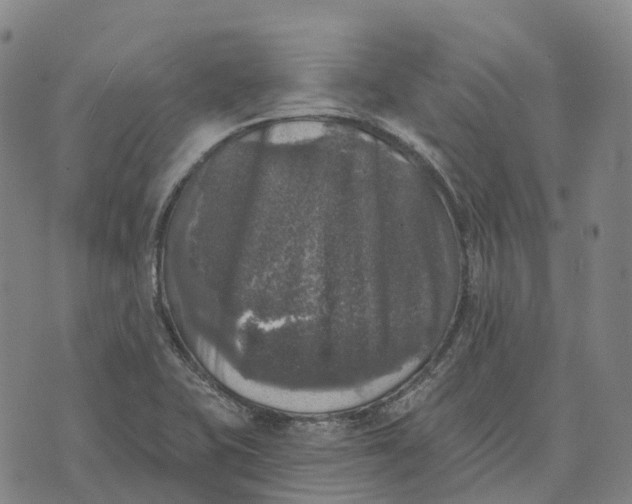 X0000073891415200609011642