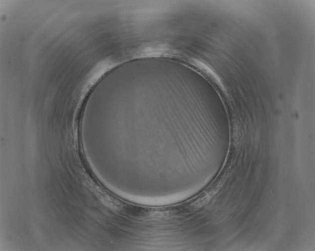 X0000073891419200609011642