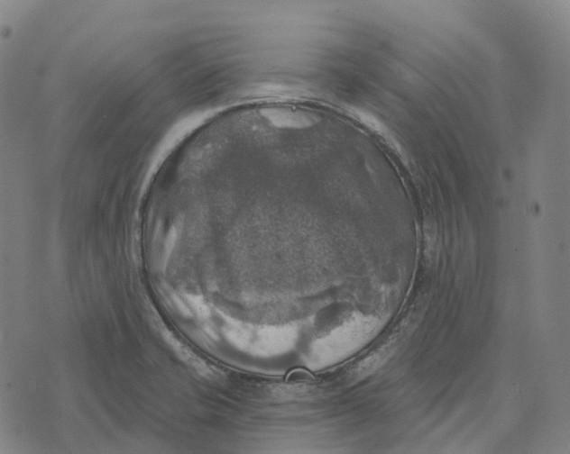 X0000073891421200609011642