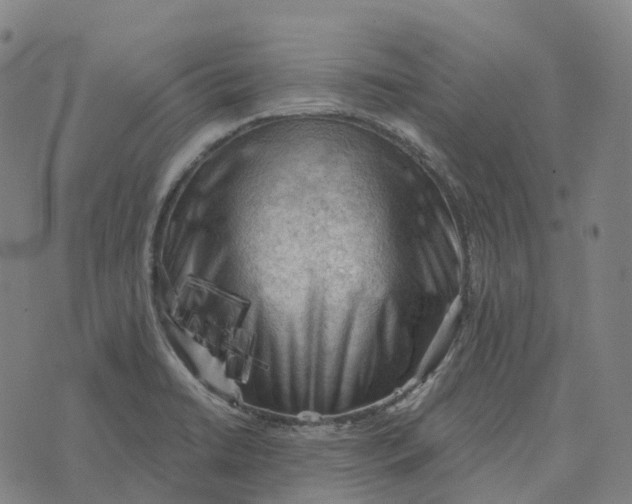 X0000073891422200609011642