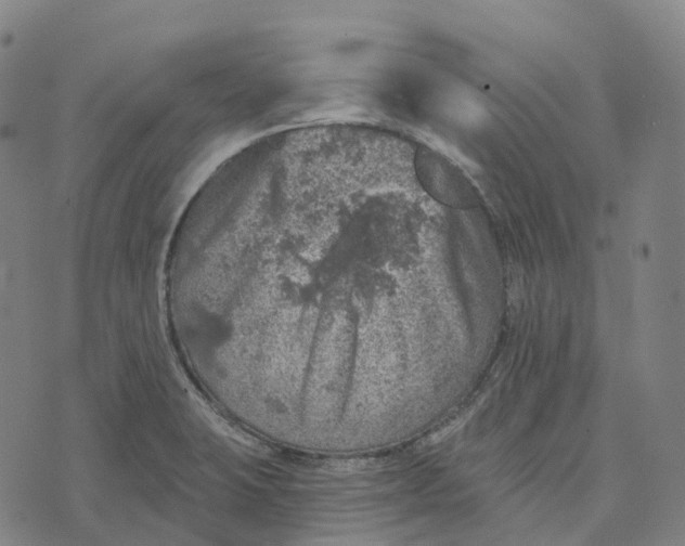 X0000073891423200609011642