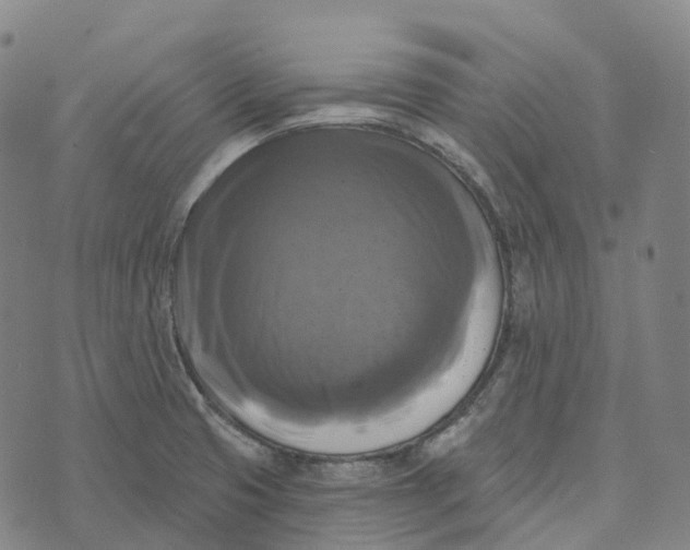 X0000073891425200609011642