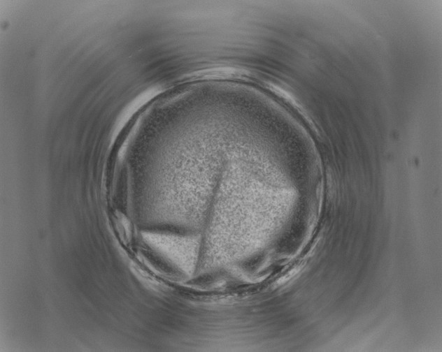 X0000073891426200609011642