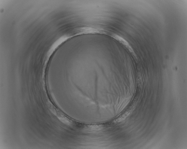 X0000073891427200609011642