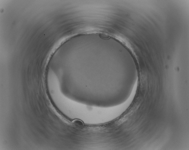 X0000073891429200609011642