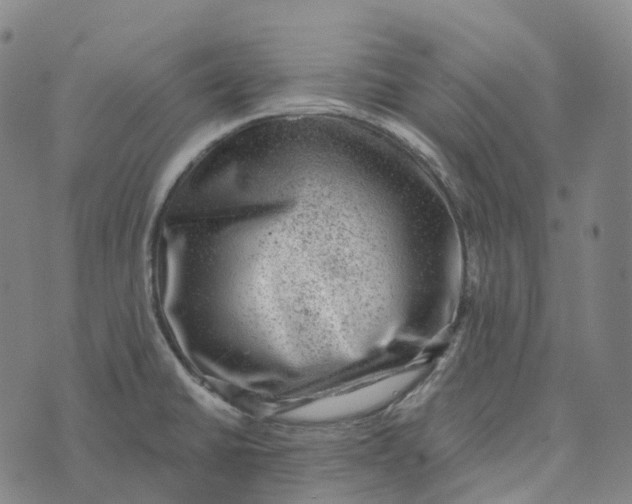 X0000073891430200609011642