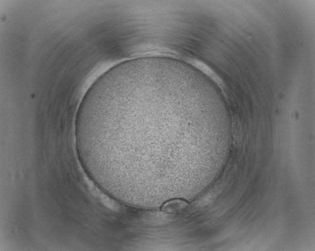 X0000073891431200609011642