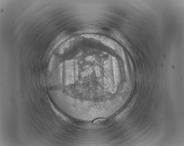 X0000073891433200609011642