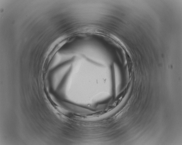 X0000073891434200609011642