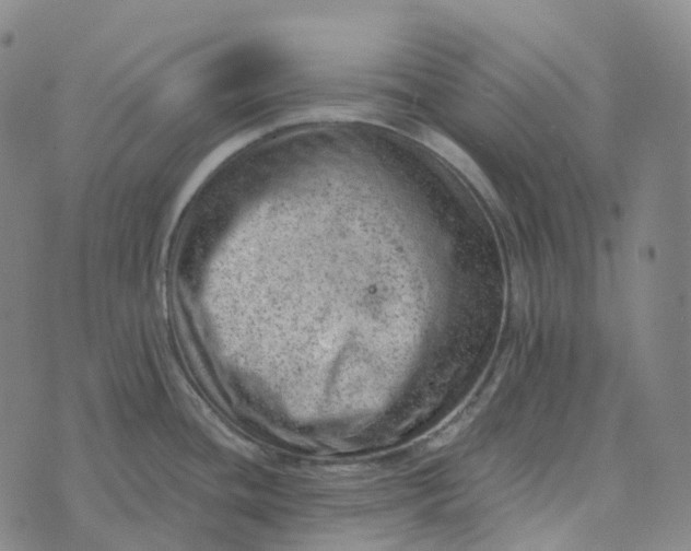 X0000073891436200609011642