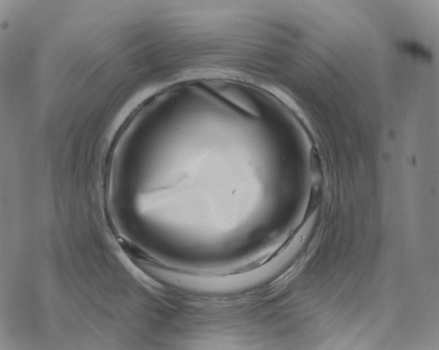 X0000073891438200609011642