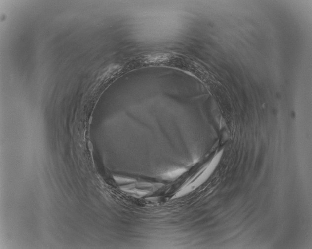 X0000073891441200609011641