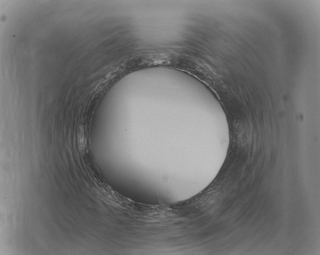 X0000073891442200609011641