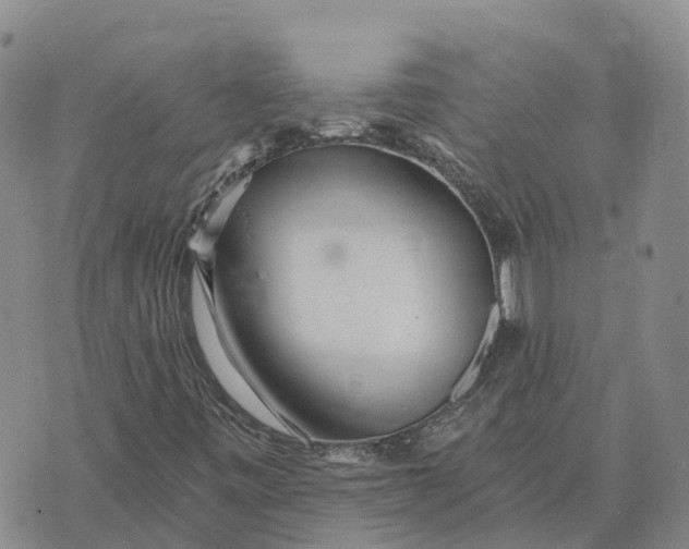 X0000073891443200609011641