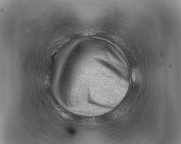 X0000073891444200609011641