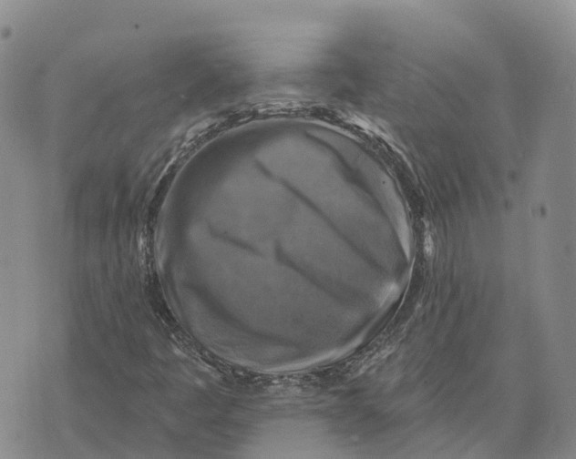 X0000073891445200609011641