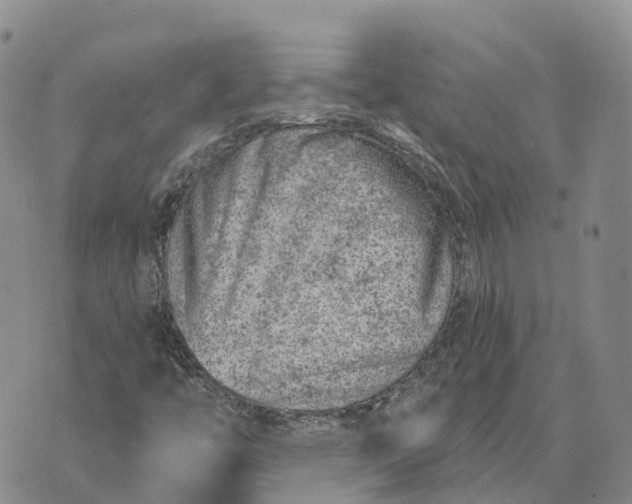 X0000073891446200609011641