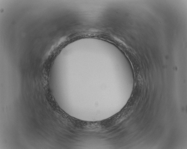 X0000073891447200609011641