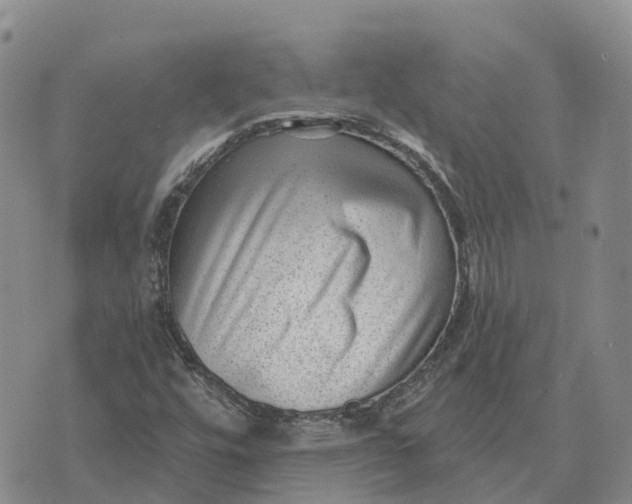 X0000073891448200609011641