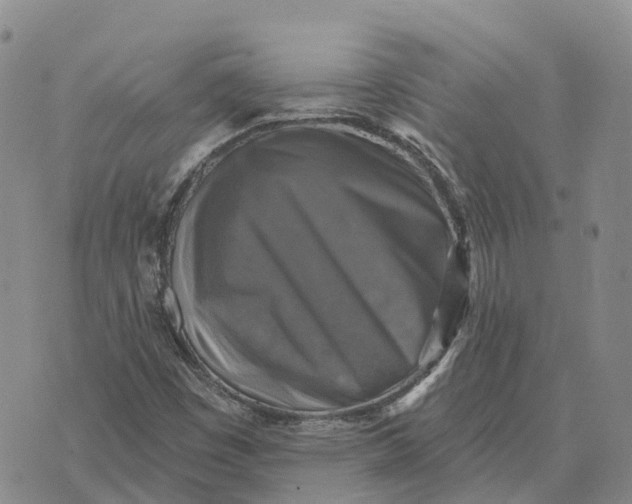 X0000073891449200609011641