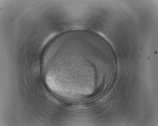 X0000073891450200609011641