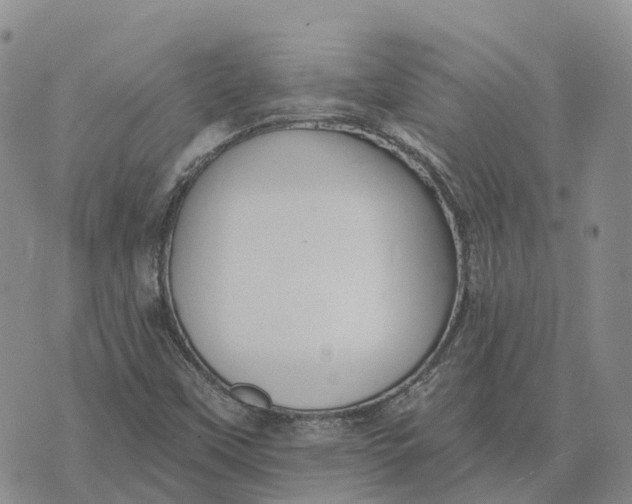 X0000073891451200609011641