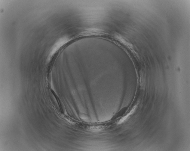 X0000073891453200609011641