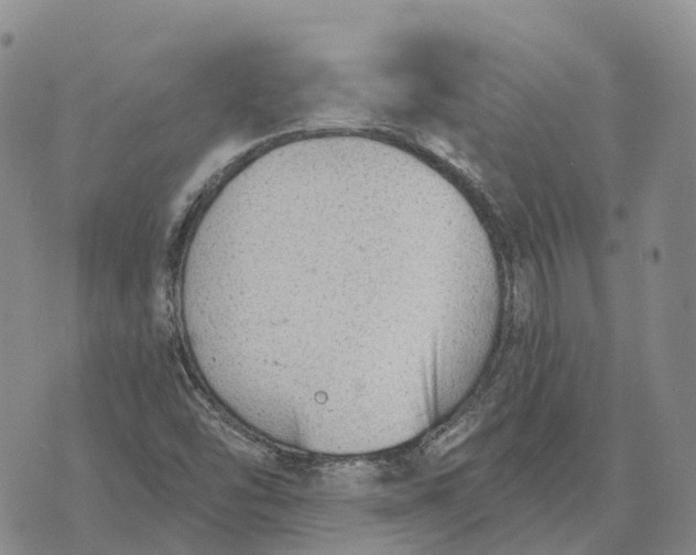 X0000073891454200609011641