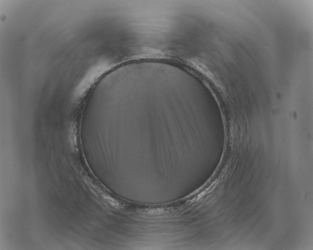 X0000073891455200609011641