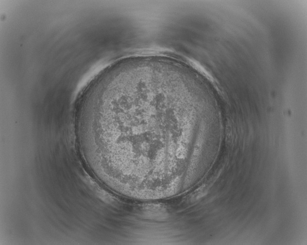 X0000073891456200609011641