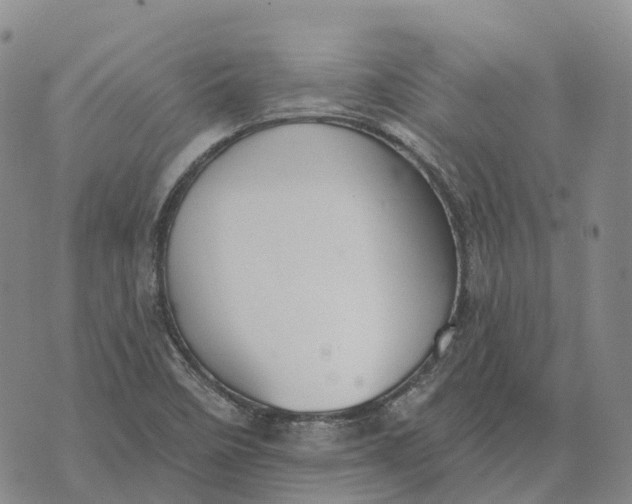 X0000073891458200609011641