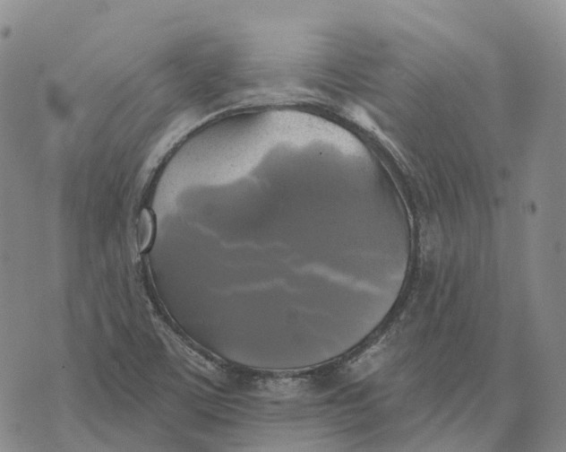 X0000073891459200609011641