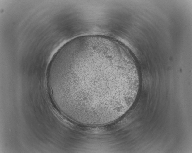 X0000073891460200609011641