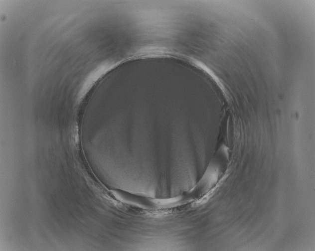 X0000073891461200609011641