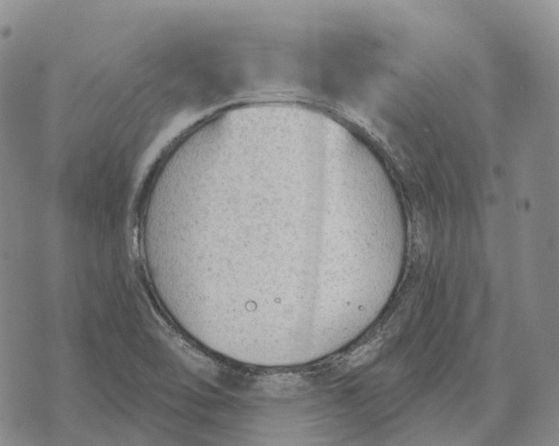 X0000073891462200609011641